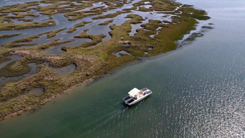 Faro: Ria Formosa Boat Tour by Eco-Friendly Solar Boat - Practical Tips for Your Tour