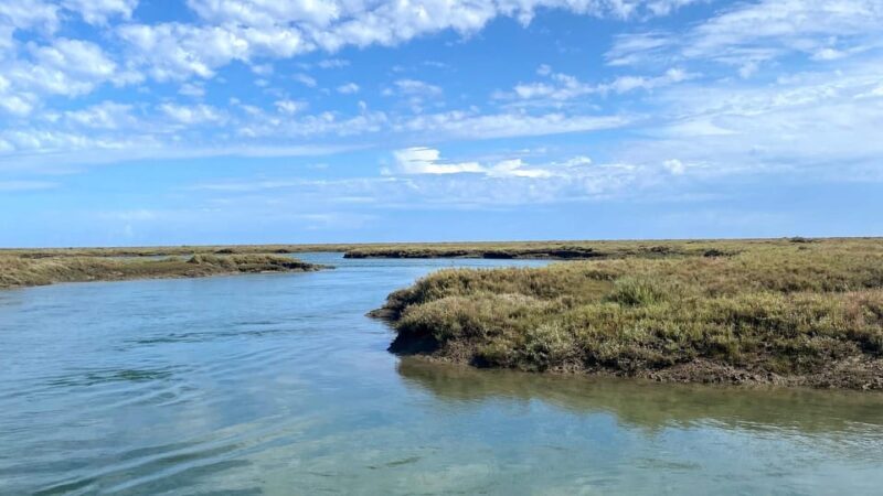 Faro: Ria Formosa Boat Tour by Eco-Friendly Solar Boat - Who Will Love This Tour?