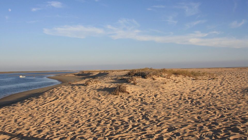 Faro: Ria Formosa Eco Birdwatching Boat Tour - Exploring Ria Formosa on a Solar-Powered Eco Boat