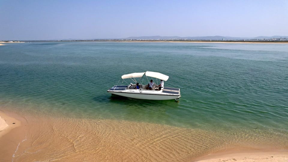 Faro: Ria Formosa Eco Birdwatching Boat Tour - What You Need to Know Before Booking
