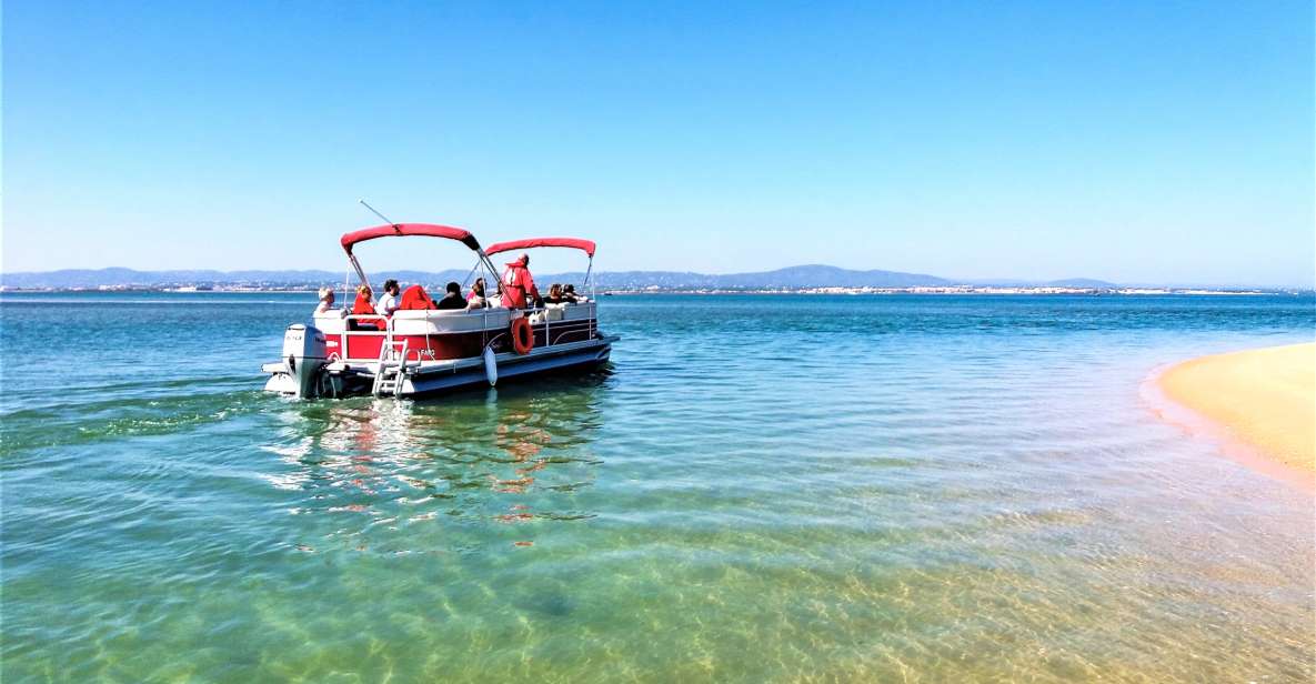 Faro: Ria Formosa Faro Islands Boat Tour - Final Thoughts: Is This Tour for You?