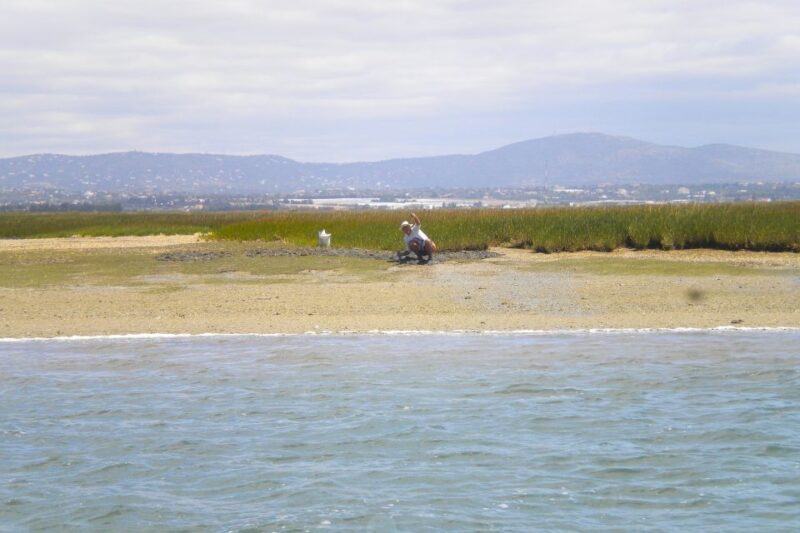 Faro: Ria Formosa Lagoon Small Boat Tour with Local Guide - Authentic Experiences & What Travelers Say