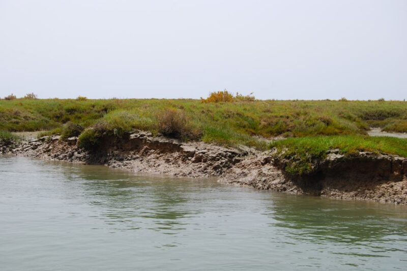 Faro: Ria Formosa Lagoon Small Boat Tour with Local Guide - FAQ