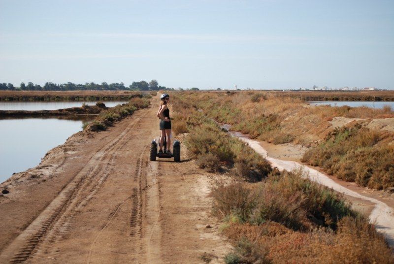 Faro: Ria Formosa Natural Park Segway Tour & Birdwatching - Inclusions and Pricing