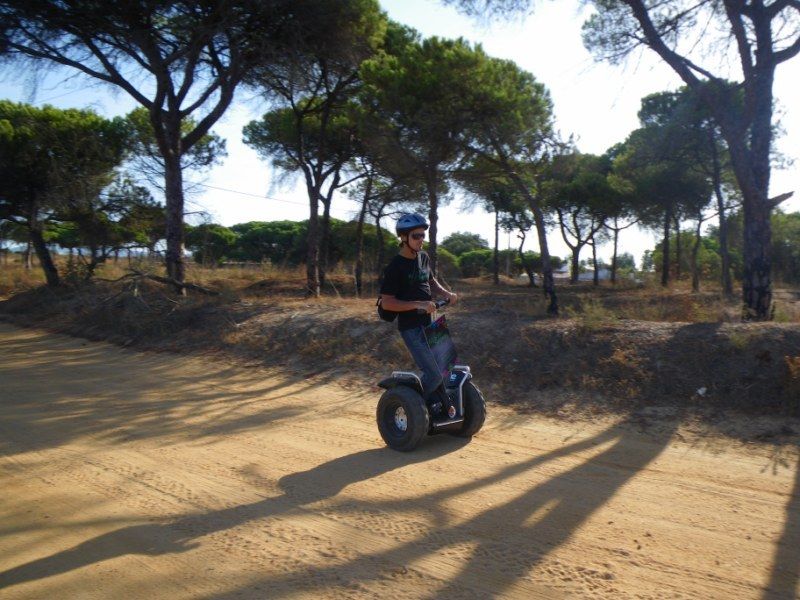 Faro: Ria Formosa Natural Park Segway Tour & Birdwatching - Important Considerations