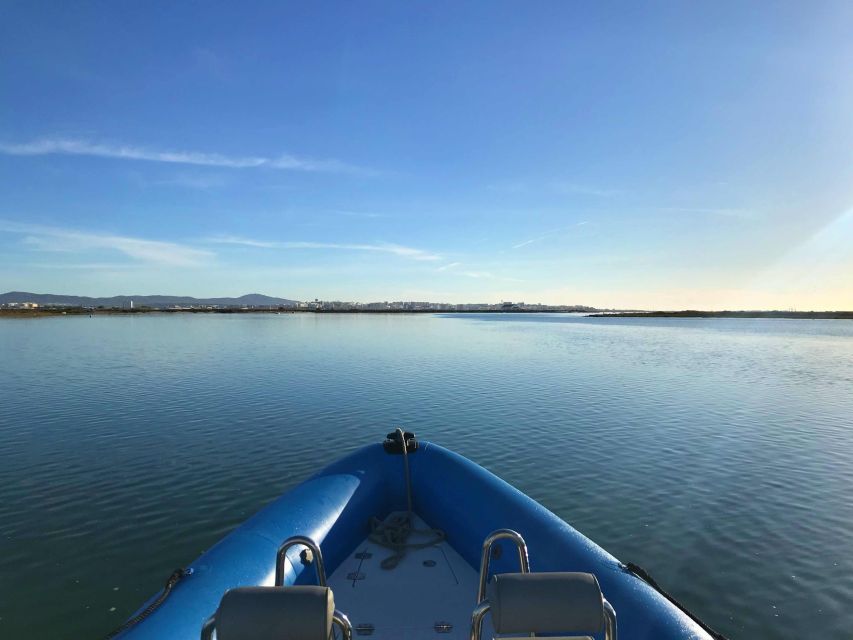 Faro: Speed Boat Tour - Discovering the Ria Formosa
