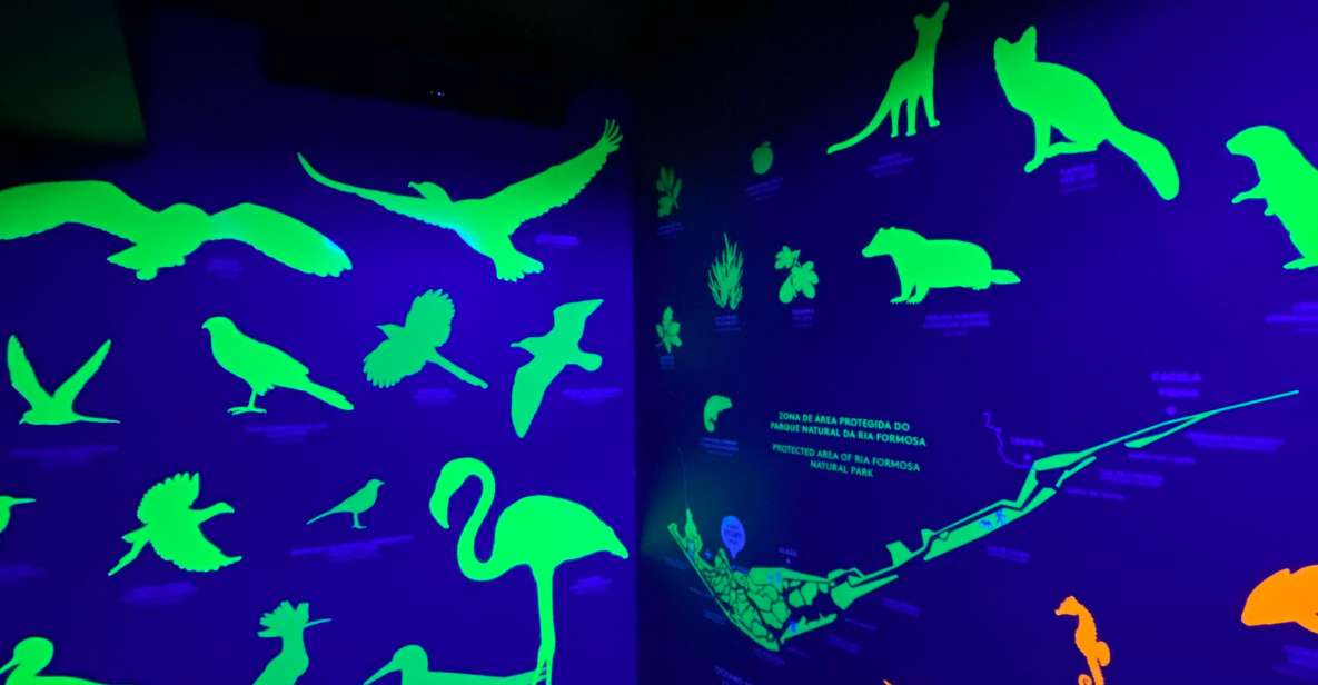 Faro Story Spot - Multimídia Museum - Activity Highlights