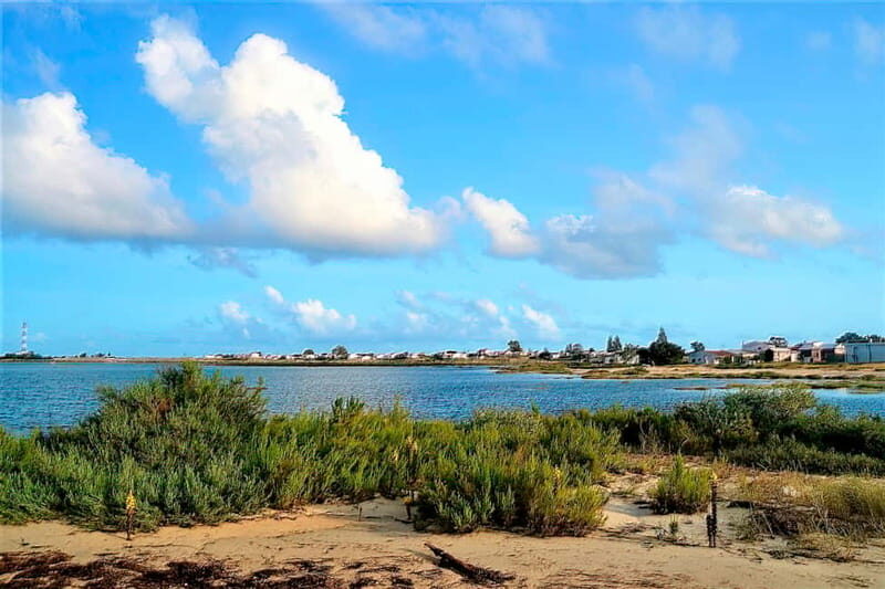 Faro: Sunset 1 hour Ria Formosa Boat Tour - Who Should Consider This Tour?