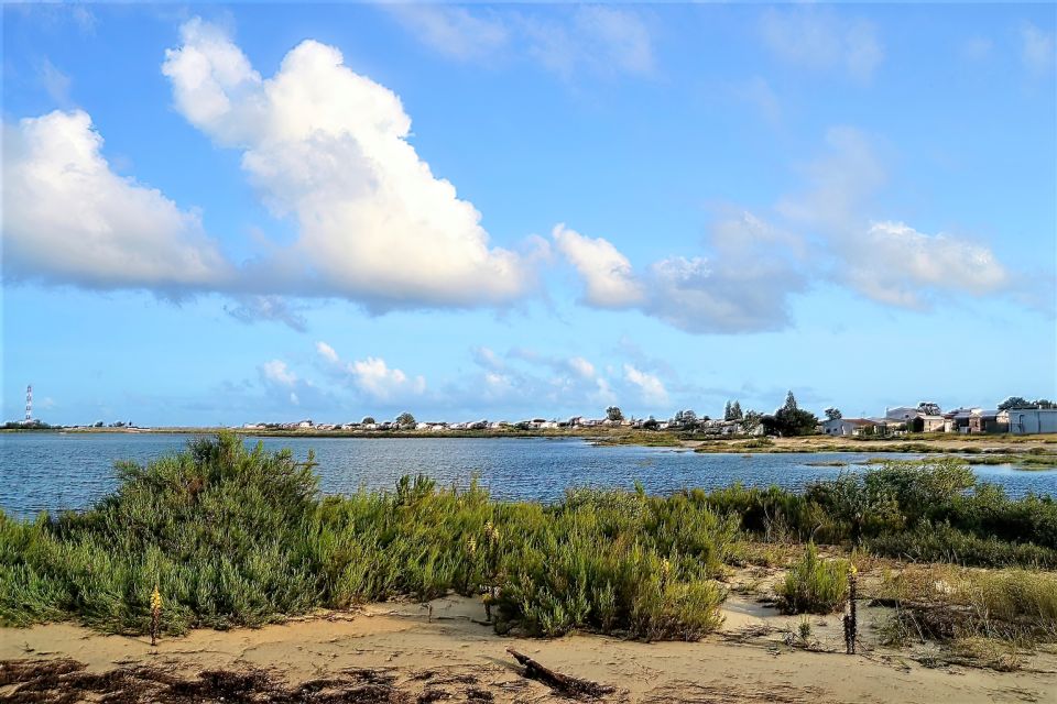 Faro: Sunset 1 Hour Ria Formosa Boat Tour - Meeting Point