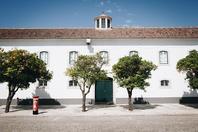 Faro Walking Tour: Uncover the City's Architectural Legacy - Medieval Walls and Churches