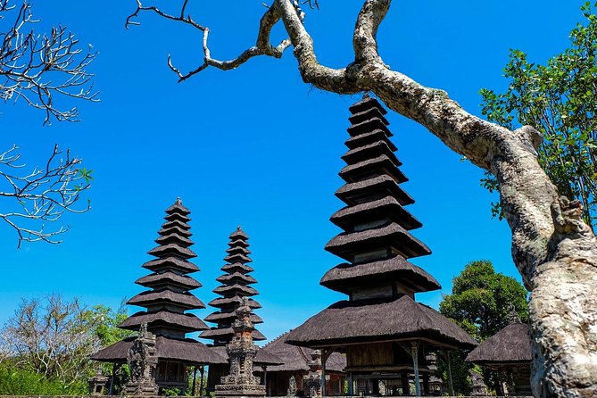 Fascinating UNESCO Site Tour in Bali - Booking Information and Pricing