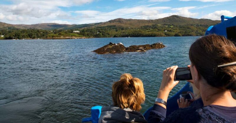 Fastnet Rock Lighthouse Direct Boat Tour-Baltimore.Guided. - Highlights of the Experience