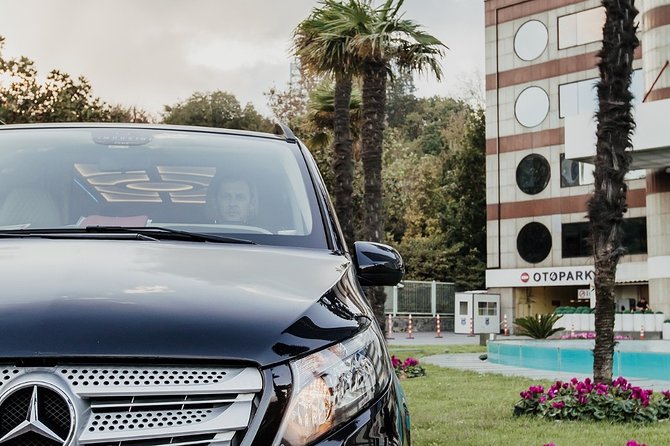 Fat Taxi - Private Istanbul Airport (IST) Transfer to Taksim - Pickup and Meeting Details