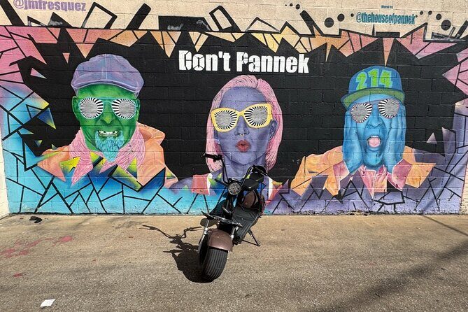 Fat Tire 2 Seater Rental in Houston - A Closer Look at the Experience