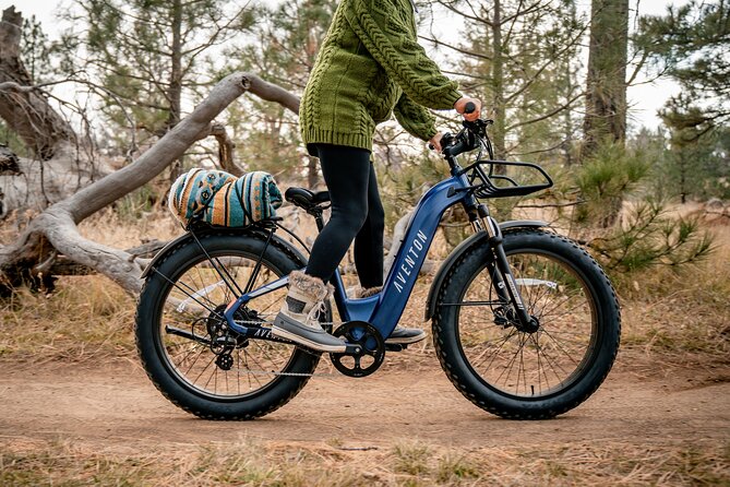 Fat Tire Ebikes for Rent Downtown Denver (1, 3 & 5 Day Rentals) - Good To Know