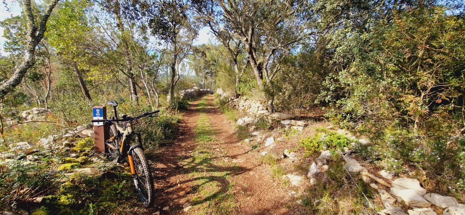 Fátima: Caves & Tradition E-bike Tour - FAQ