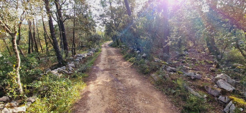 Fátima: E-Bike Tour to Dinosaur Footprints Natural Monument - Key Points