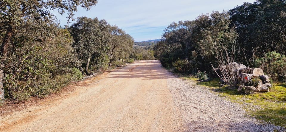 Fátima: E-Bike Tour to Dinosaur Footprints Natural Monument - The Route: A Closer Look