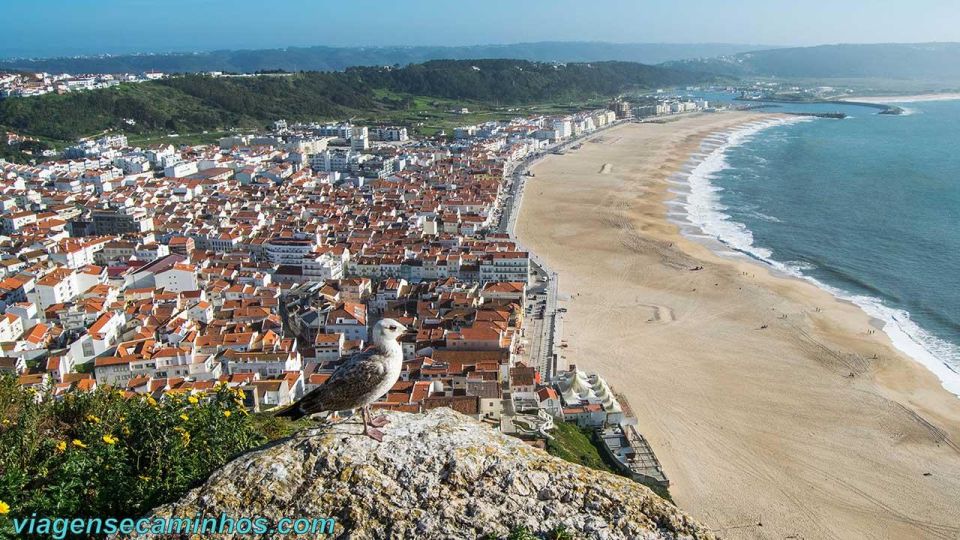 Fatima / Nazaré / Óbidos - Discovering Batalha Monasterys Grandeur
