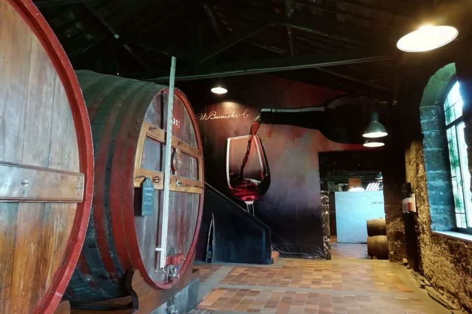 Fatima: Private Porto Tour - Highlights of the Tour