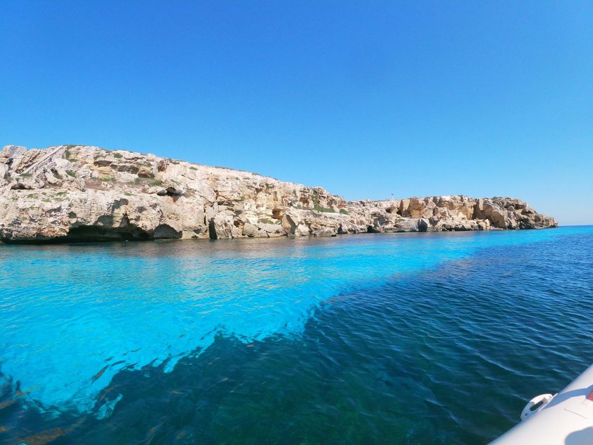 Favignana and Levanzo Island: Swim, Snorkeling and Lunch - Recap