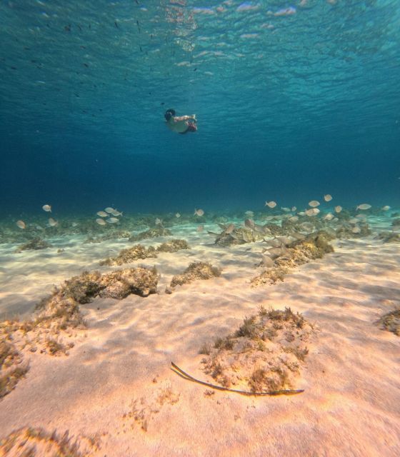 Favignana, Exclusive Trip by Dinghy - Frequently Asked Questions