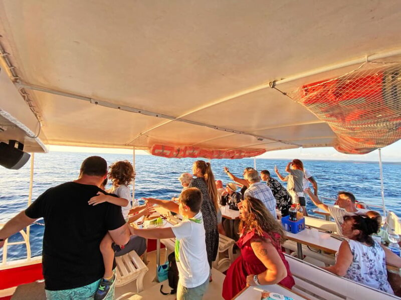 Fazana: Dolphin Finder in Brijuni Islands Safari With Dinner - Highlights of the Tour