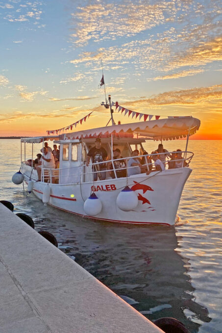 Fazana: Dolphin Finder in Brijuni Islands Safari With Dinner - Customer Reviews and Ratings