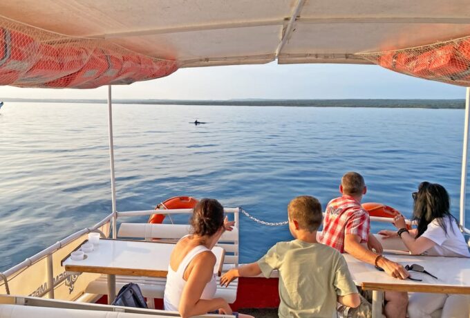 Fazana: Dolphin Finder in Brijuni Islands Safari With Dinner - Booking and Pricing Information