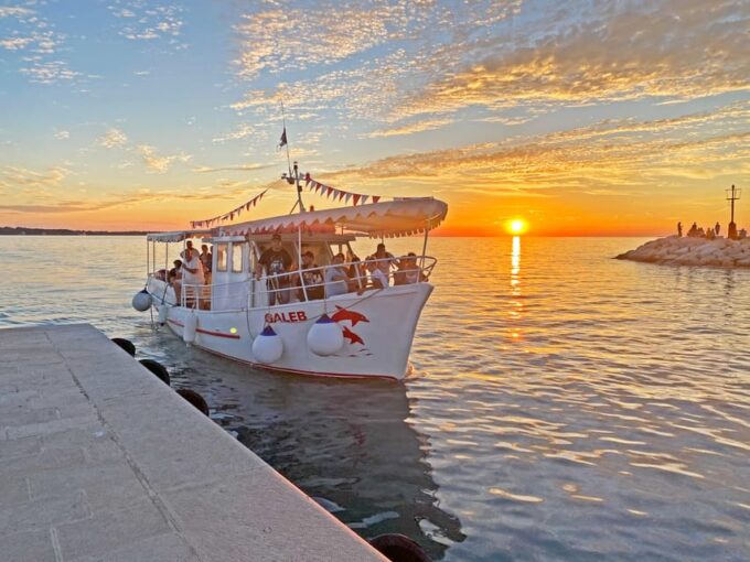 Fazana: Dolphin Finder in Brijuni Islands Safari With Dinner - Frequently Asked Questions