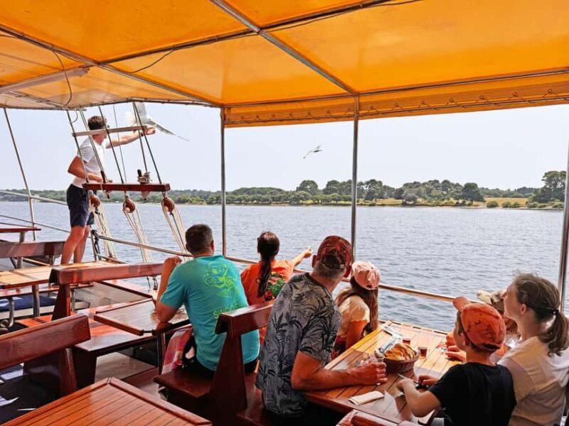 Fazana: Eco Friendly Brijuni Dolphins with Dinner & Drinks - An Overview of This Eco-Friendly Dolphin Cruise