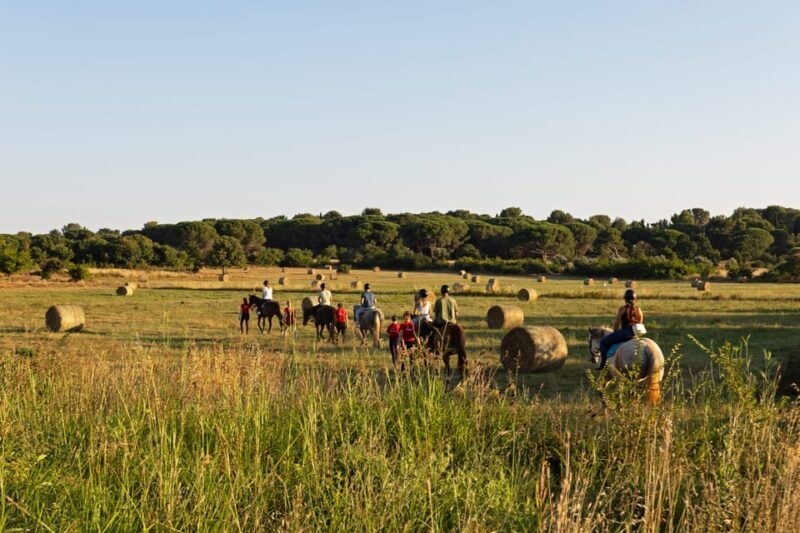 Fazana: Sunset 1-hour Horse Riding in Nature with Guide - Key Points
