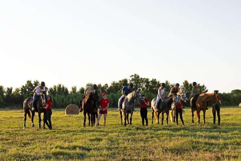 Fazana: Sunset 1-hour Horse Riding in Nature with Guide - An Introduction to the Experience