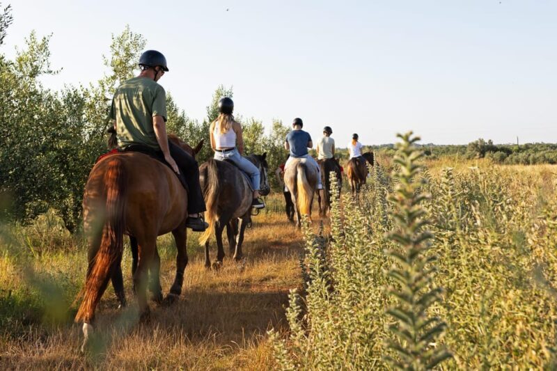 Fazana: Sunset 1-hour Horse Riding in Nature with Guide - Who Will Love This Tour?