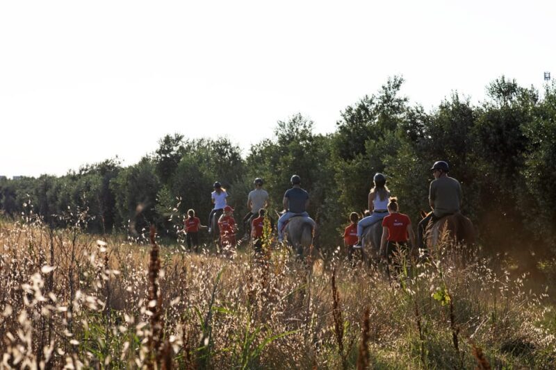 Fazana: Sunset 1-hour Horse Riding in Nature with Guide - FAQ