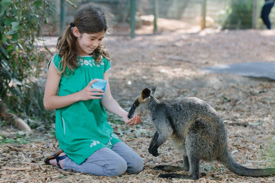 Featherdale Wildlife Park General Entry Ticket - Highlights