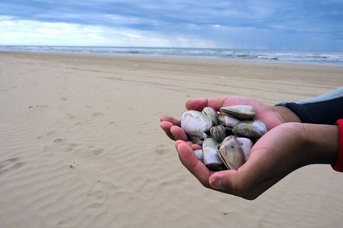 Feed Me Food and Wine Experience in Adelaide - Authentic Flavors and Expert Insights