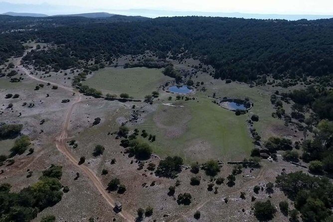 Feel and Taste island Brac with local experts - island adventure to remember - The Golden Horn and a Refreshing Swim