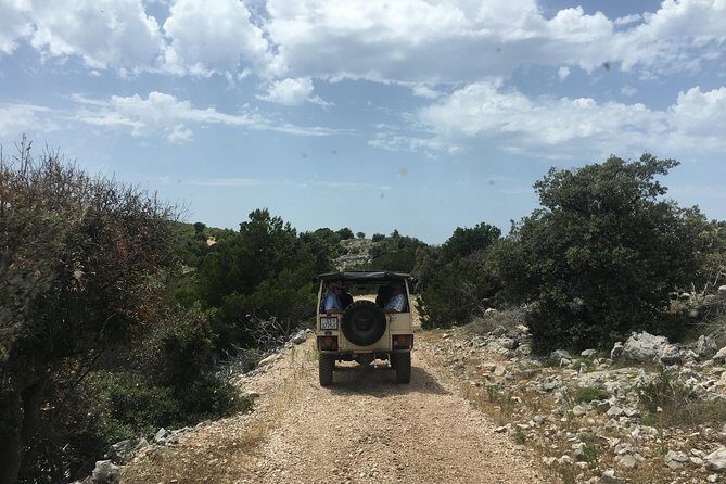 Feel and Taste island Brac with local experts - island adventure to remember - Lunch: A Taste of Local Flavors