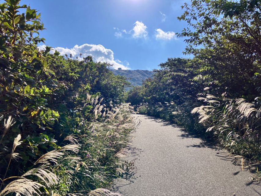 Feel the Volcano by Trekking at Mt.Mihara - Recommended Attire and Items