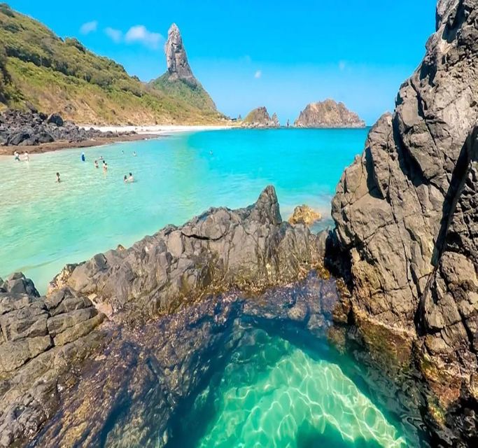 Fernando De Noronha: 7-Hour Island Adventure - Encountering Vibrant Marine Life
