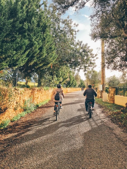 Ferragudo: Explore in style with Fat Bikes - Who Will Love This Tour?