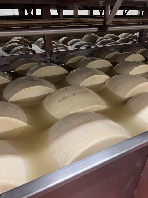 Ferrari Museum, Parmesan Cheese, Balsamic Vinegar Food Tour - Duration and Pickup