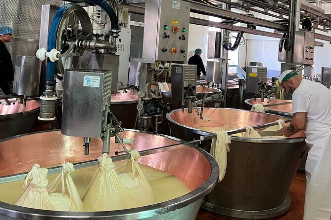 Ferrari, Parmesan and Balsamic Day Tour from Bologna - Key Points