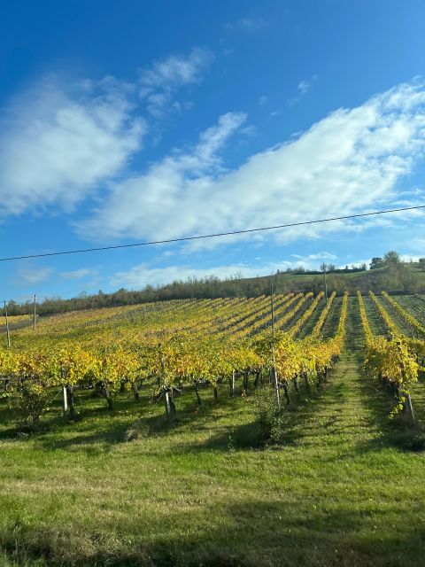 Ferrari&Lambo, Parmesan, Balsamic, Red Wine With Transfer - Itinerary Highlights