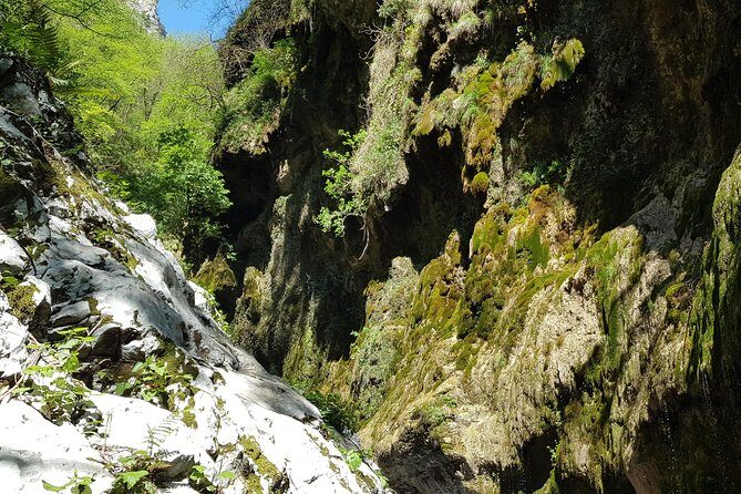 Ferriere waterfalls hike - Amalfi and Ravello Coast - Practical Details: How the Tour Fits Into Your Trip