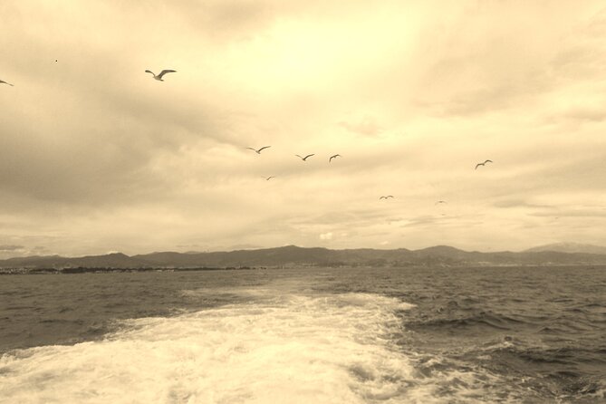 Ferry Benalmádena - Fuengirola - Convenient and Faster Travel Option