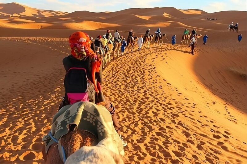Fès: 2 Days Desert Trip to Merzouga (1 Night), Return to Fès - Trip Overview