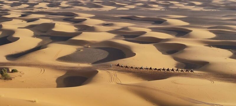Fès: 2 Days Desert Trip to Merzouga (1 Night), Return to Fès - Itinerary Highlights
