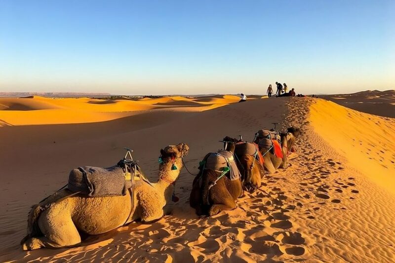 Fès: 2 Days Desert Trip to Merzouga (1 Night), Return to Fès - Luxury Tent Camping